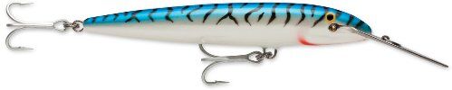 Rapala CDMAG22 SM, Esche Artificiali da Pesca Unisex-Adult, Silver Mackerel, 18 cm / 70 g