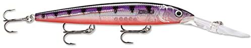 Rapala Esca da Pesca Artificiale Spinning Down Deep Husky Jerk Esca di Simulazione per Pesca a Traina Acqua Dolce/Mare Prof. Nuoto 4.4-5.5m 14cm/23g Prodotta in Estonia Glass Purple Perch