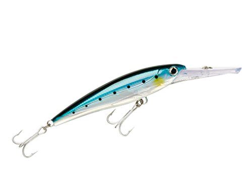 Rapala Artificiale Spinning X-Rap Magnum-Esca Finta di Simulazione Pesca in Mare con Lungo Labbro d'Immersione-profondità Nuoto 4.5m-12cm/32g-Prodotta in Estonia-Silver Blue Unisex-Adult, 12 cm / 32 g