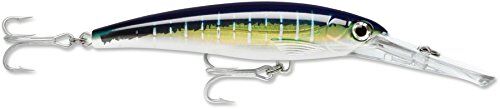 Rapala XRMAG30 SFU, Esche Artificiali da Pesca Unisex-Adult, Bluefin Trevally UV, 16 cm / 72 g