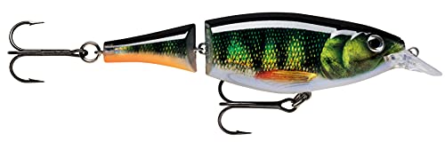 Rapala Esca da Pesca Artificiale Spinning Multi Snodata X-Rap Jointed Shad Esca Finta di Simulazione per Acqua Dolce Profondità di Nuoto 1.2-2.4m 13cm/46g Prodotta in Estonia Live Perch