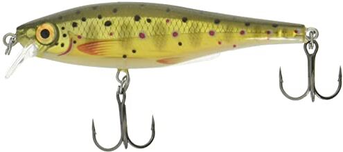 Rapala BX MINNOW 7CM TR