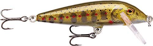 Rapala Esca da Pesca Artificiale Spinning CountDown Esca di Simulazione per Pesca in Acqua Dolce in Legno di Balsa Profondità Nuoto 0.6-0.9m 3cm/4g Prodotta in Estonia Gold Juvenile Trout