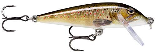 Rapala Esca con Ami Due N. 5, Profondità di Nuoto 2.1-3m, 9cm Dimensioni, Trota Marrone Dal Vivo