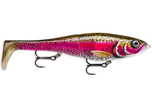 Rapala Esca con Ami Due N. 2/0, 0.5-1m di Profondità di Nuoto, 20cm Dimensioni, Trota Iridea Dal Vivo