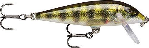 Rapala RA5816035, Adescare Unisex-Adult, Pesce Persico, 7 cm / 8 g