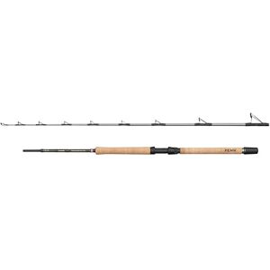 Penn Regiment IV Pro, canna da pesca d'acqua salata per pesci di mare, merluzzo, spigola, merluzzo, sgombro, squalo, peso leggero e versatilità, argento, 2,10 m, canna veloce ambidestra Penn Regiment IV Pro, canna da pesca d'acqua salata per pesci di mare, merluzzo, spigola, merluzzo, sgombro, squalo, peso leggero e versatilità, argento, 2,10 m, canna veloce ambidestra