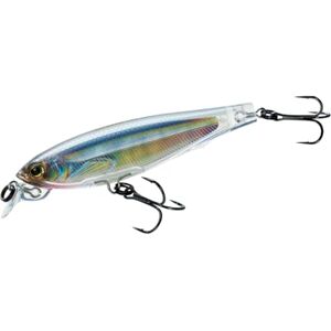 DUEL 3DS Minnow 100 mm Suspend Lure F1157-HGSH (8700) DUEL 3DS Minnow 100 mm Suspend Lure F1157-HGSH (8700)