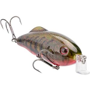 Strike King Hybrid Hunter Jr. Esca da pesca piatta a manovella, becco a 90 gradi, occhi 3D, sonaglio, immersioni da 6,7 a 1,2 m, 1,3 g, taglia 4 e 6 shakes, Phantom Watermelon Strike King Hybrid Hunter Jr. Esca da pesca piatta a manovella, becco a 90 gradi, occhi 3D, sonaglio, immersioni da 6,7 a 1,2 m, 1,3 g, taglia 4 e 6 shakes, Phantom Watermelon