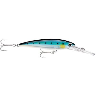 Rapala Esca da Pesca Artificiale Spinning X-Rap Magnum Esca Finta di Simulazione Pesca in Mare con Lungo Labbro d'Immersione Profondità Nuoto 4.5m 12cm/32g Prodotta in Estonia Silver Blue Rapala Esca da Pesca Artificiale Spinning X-Rap Magnum Esca Finta di Simulazione Pesca in Mare con Lungo Labbro d'Immersione Profondità Nuoto 4.5m 12cm/32g Prodotta in Estonia Silver Blue