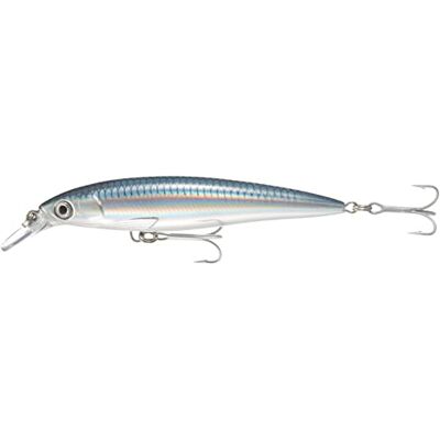 Rapala Esca con Ami Due N. 3, Profondità di Nuoto 1.2-1.8m, 10cm Dimensioni, Baitfsh Rapala Esca con Ami Due N. 3, Profondità di Nuoto 1.2-1.8m, 10cm Dimensioni, Baitfsh