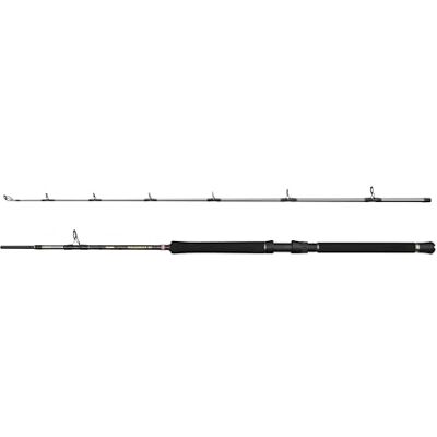 Penn Regiment IV, canna da pesca d'acqua salata per pesci di mare, merluzzo, anguilla di mare, spigola, merluzzo, sgombro, squalo, forte, leggera e versatile, argento, 2,10 m, canna veloce ambidestra Penn Regiment IV, canna da pesca d'acqua salata per pesci di mare, merluzzo, anguilla di mare, spigola, merluzzo, sgombro, squalo, forte, leggera e versatile, argento, 2,10 m, canna veloce ambidestra