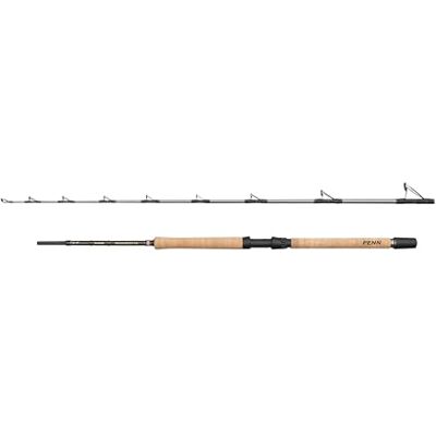 Penn Regiment IV Pro, canna da pesca d'acqua salata per pesci di mare, merluzzo, spigola, merluzzo, sgombro, squalo, peso leggero e versatilità, argento, 2,10 m, canna veloce ambidestra Penn Regiment IV Pro, canna da pesca d'acqua salata per pesci di mare, merluzzo, spigola, merluzzo, sgombro, squalo, peso leggero e versatilità, argento, 2,10 m, canna veloce ambidestra