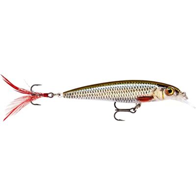 Rapala Edilizia in plastica della pesca X -Rap sospensione dell'esca d'acqua dolce profondità di nuoto 0,9-1,5 m dimensione 10 cm / 13g Made in Estonia scarafaggi vivi Rapala Edilizia in plastica della pesca X -Rap sospensione dell'esca d'acqua dolce profondità di nuoto 0,9-1,5 m dimensione 10 cm / 13g Made in Estonia scarafaggi vivi