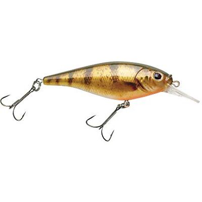 Berkley Flicker Shad Esca dura per pesca poco profonda Berkley Flicker Shad Esca dura per pesca poco profonda