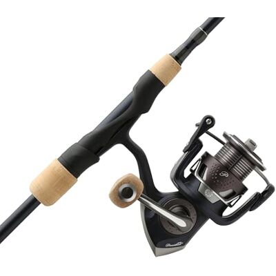 Pflueger President XT Mulinello e canna da pesca Combo Pflueger President XT Mulinello e canna da pesca Combo