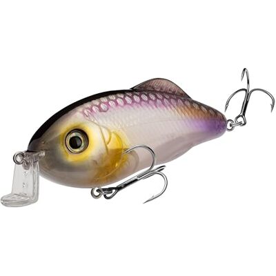 Strike King Pesciolino Hybrid Hunter Jr Clearwater Strike King Pesciolino Hybrid Hunter Jr Clearwater