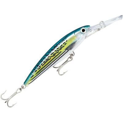 Rapala Esca da Pesca Artificiale Spinning X-Rap Magnum Esca Finta di Simulazione Pesca in Mare con Lungo Labbro d'Immersione Profondità Nuoto 12m 18cm/97g Prodotta in Estonia Hot Head Rapala Esca da Pesca Artificiale Spinning X-Rap Magnum Esca Finta di Simulazione Pesca in Mare con Lungo Labbro d'Immersione Profondità Nuoto 12m 18cm/97g Prodotta in Estonia Hot Head