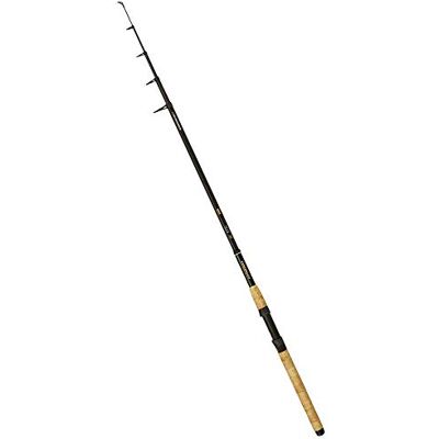 ZEBCO Trophy Tele 3m 20-70g - Canna da pesca ZEBCO Trophy Tele 3m 20-70g - Canna da pesca