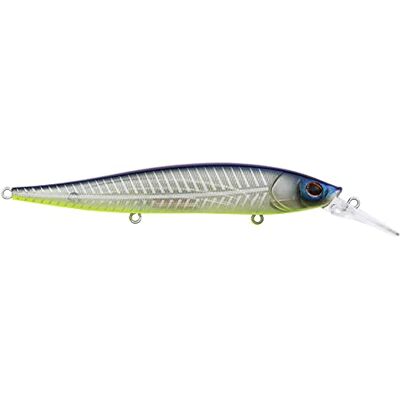 Berkley Stunna Esca dura da pesca, filetto Shad, 112 mm 1 (1/2 oz) Berkley Stunna Esca dura da pesca, filetto Shad, 112 mm 1 (1/2 oz)