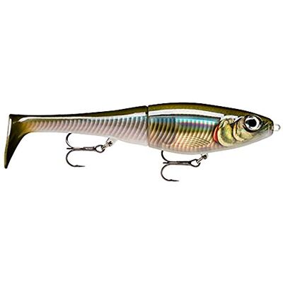 Rapala Esca da Pesca Artificiale Spinning X-Rap Peto Esca di Simulazione Corpo ABS Coda Morbida PVC per Acqua Dolce Profondità Nuoto 0.5-1m 14cm/39g Prodotta in Estonia Smelt On The Beach Rapala Esca da Pesca Artificiale Spinning X-Rap Peto Esca di Simulazione Corpo ABS Coda Morbida PVC per Acqua Dolce Profondità Nuoto 0.5-1m 14cm/39g Prodotta in Estonia Smelt On The Beach