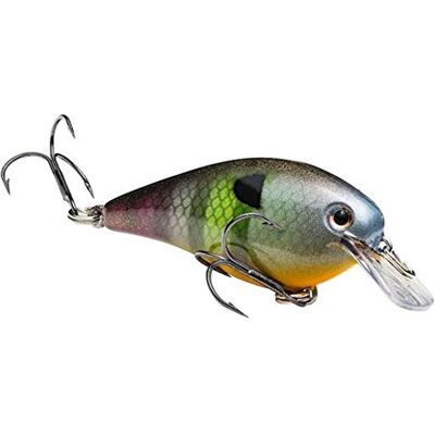 Strike King Square Bill 1.0 Crankbait, Unisex Adulto, KVD Square Bill 1.0 Neon Bluegill, , Neon Bluegill, HCKVDS1.0 Strike King Square Bill 1.0 Crankbait, Unisex Adulto, KVD Square Bill 1.0 Neon Bluegill, , Neon Bluegill, HCKVDS1.0