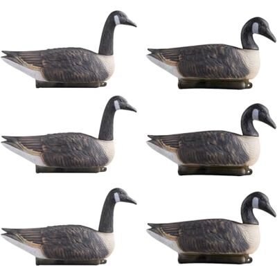 VEVOR Esche per Caccia Realistiche Oche del Canada Artificiali 6 pezzi Caccia agli Uccelli Acquatici all'Aperto, Oca Galleggiante in Plastica con Finitura Verniciata Decorazione Laghetti, Giardini VEVOR Esche per Caccia Realistiche Oche del Canada Artificiali 6 pezzi Caccia agli Uccelli Acquatici all'Aperto, Oca Galleggiante in Plastica con Finitura Verniciata Decorazione Laghetti, Giardini