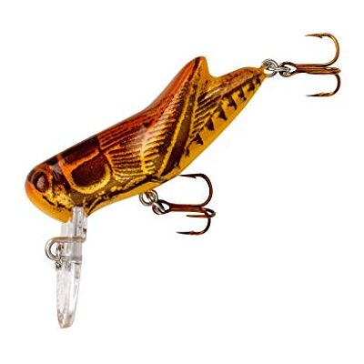 Rebel F73-95 Crickhopper Esca artificiale da pesca, 1 1/2", 3/907,2 g, marrone Rebel F73-95 Crickhopper Esca artificiale da pesca, 1 1/2", 3/907,2 g, marrone
