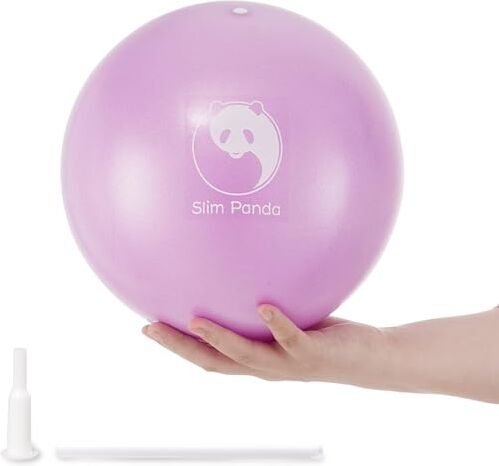 Panda Palla Pilates Piccola, 23 cm Anti Scoppio Antiscivolo Palla Ginnastica con Cannuccia Gonfiabile, Soft PVC Palla da Yoga per la Terapia Degli Anziani, Casa, Fitness, Allenamento Equilibrio