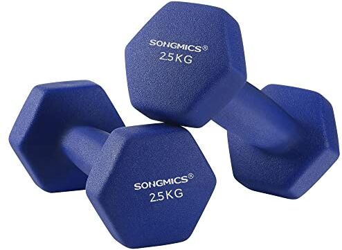 SONGMICS Set di 2 Manubri di 2,5 kg, 2 x 2,5 kg, Rivestimento di Vinile Antiscivolo, con Finitura Opaca, per Palestro a Casa, Fitness Addestramento Esercizio, Blu