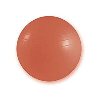 GIMA Palla Resistente, Diametro 55 cm, Rosso GIMA Palla Resistente, Diametro 55 cm, Rosso
