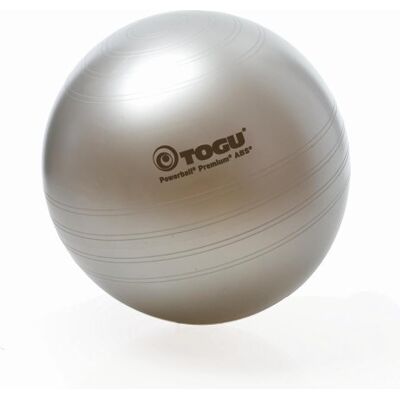TOGU Power Premium Palla da ginnastica ABS, Argento, 45 cm TOGU Power Premium Palla da ginnastica ABS, Argento, 45 cm
