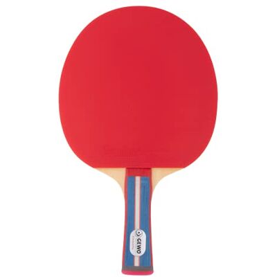 GEWO Racchetta da ping pong Standard PRO – Racchetta da ping pong controllata per principianti – Racchetta completa con rivestimento Lion ITTF, alto controllo e velocità, impugnatura concava, rivestimento spesso 1,8 mm GEWO Racchetta da ping pong Standard PRO – Racchetta da ping pong controllata per principianti – Racchetta completa con rivestimento Lion ITTF, alto controllo e velocità, impugnatura concava, rivestimento spesso 1,8 mm
