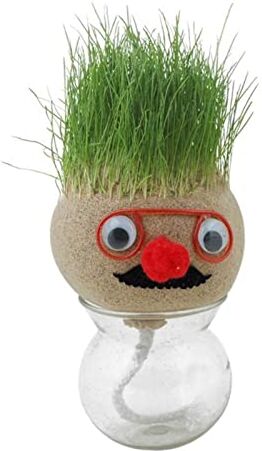 Generic Bambola Testa Erba, Grass Doll Crescita Capelli Piccole Piante In Vaso Piccolo E Carino Patata Con Capelli Di Erba Piante Verdi Divertenti Per Bambini Idroponiche Regali Per La Famiglia E Gli Amici