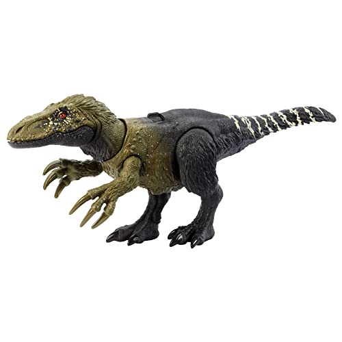Mattel Jurassic World Dinosauro Orkoraptor Ruggito Selvaggio, action figure snodata con azione di attacco e ruggito roboante, giocattolo per bambini, 4+ anni,