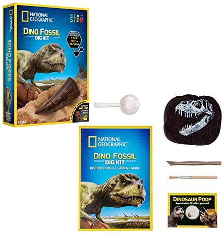 Bandai National Geographic-Kit di ispezione-3 fossili di Dinosauro da estrarre-Gioco scientifico educativo-STEM-, Multicolore,