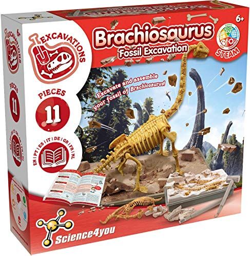 Science4You -Kit Brachiosauro Fossili da Scavare, Assemblare Gli 11 Pezzi, Scheletro Dinosauro da Construire, Kit Paleontologo e Giochi Archeologia Bambini +6 Anni, Multicolore, 23 x 6,5 x 22,