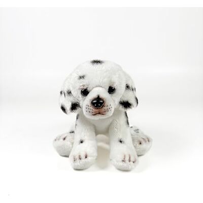 DQB DeQUBE Fondazione BOCALAN Peluche dalmata seduto 12 cm + 0 mesi (DeQube ) DQB DeQUBE Fondazione BOCALAN Peluche dalmata seduto 12 cm + 0 mesi (DeQube )