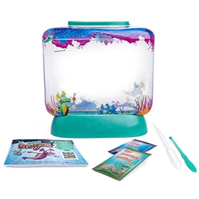 Aqua Dragons Underwater World Compact Kit,Giocattolo educativo STEM,Set per Acquario,Animale Domestico Facile da Coltivare per i Bambini,nclude Vasca,Cibo,Uova,Cucchiaio per l'alimentazione e pipetta Aqua Dragons Underwater World Compact Kit,Giocattolo educativo STEM,Set per Acquario,Animale Domestico Facile da Coltivare per i Bambini,nclude Vasca,Cibo,Uova,Cucchiaio per l'alimentazione e pipetta