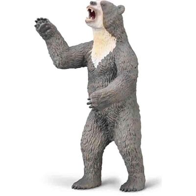 Collecta Orso a faccia corta (Arctodus) Figura da collezione Dimensione Deluxe +3 (Deqube 901) Collecta Orso a faccia corta (Arctodus) Figura da collezione Dimensione Deluxe +3 (Deqube 901)
