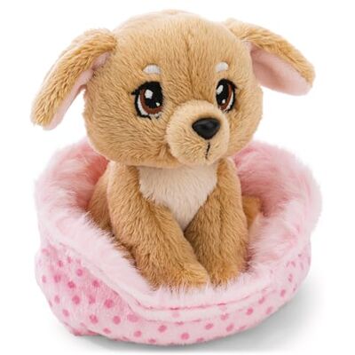 NICI Peluche Cane 12 cm nel Cestino Morbido e Tenero, Idea Regalo NICI Peluche Cane 12 cm nel Cestino Morbido e Tenero, Idea Regalo