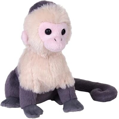 WILD REPUBLIC Rainforest Capuchino dalla Faccia Bianca, Peluche, 15 cm, Giocattolo di Peluche, Riempimento con Bottiglie d'Acqua Riciclate Filate WILD REPUBLIC Rainforest Capuchino dalla Faccia Bianca, Peluche, 15 cm, Giocattolo di Peluche, Riempimento con Bottiglie d'Acqua Riciclate Filate