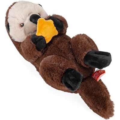 WILD REPUBLIC Ecokins Mini Lontra, Peluche per Bambini 20 cm, Peluche di qualità, Regalo di Compleanno, Giocattoli Ecologici, Creato Riciclando 7 Bottiglie in Plastica WILD REPUBLIC Ecokins Mini Lontra, Peluche per Bambini 20 cm, Peluche di qualità, Regalo di Compleanno, Giocattoli Ecologici, Creato Riciclando 7 Bottiglie in Plastica