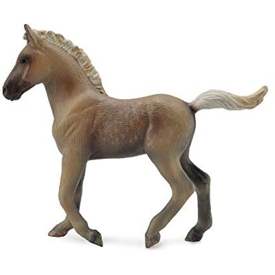 Collecta Rocky Mountain Foal Cioccolato Collecta Rocky Mountain Foal Cioccolato