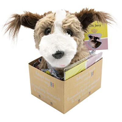 Joy Toy Principessa Maja di Hohenzollern Josy Adopt me Peluche 18 cm con bracciale per la nuova BFF e libro illustrato, in confezione regalo, 12 x 15 x 25 cm, multicolore, taglia unica Joy Toy Principessa Maja di Hohenzollern Josy Adopt me Peluche 18 cm con bracciale per la nuova BFF e libro illustrato, in confezione regalo, 12 x 15 x 25 cm, multicolore, taglia unica