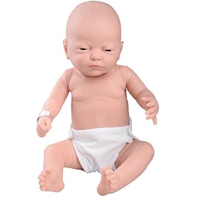 3B Scientific The Doll Factory Europe, S.L. W17000 Cura del Bebè, Maschio 3B Scientific The Doll Factory Europe, S.L. W17000 Cura del Bebè, Maschio