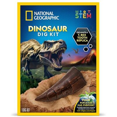 Giochi Preziosi National Geographic Kit di Scavo con Scalpello per Scoprire un Dente di T-Rex! Entra Nel modo dei Dinosauri, Diventa Paleontologo, Include Pennello e Lente di Ingrandimento Giochi Preziosi National Geographic Kit di Scavo con Scalpello per Scoprire un Dente di T-Rex! Entra Nel modo dei Dinosauri, Diventa Paleontologo, Include Pennello e Lente di Ingrandimento