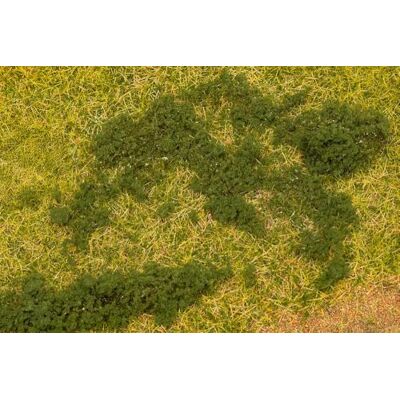 FALLER Foglio foglie, verde scuro, scartamento H0, TT, N, Z FALLER Foglio foglie, verde scuro, scartamento H0, TT, N, Z