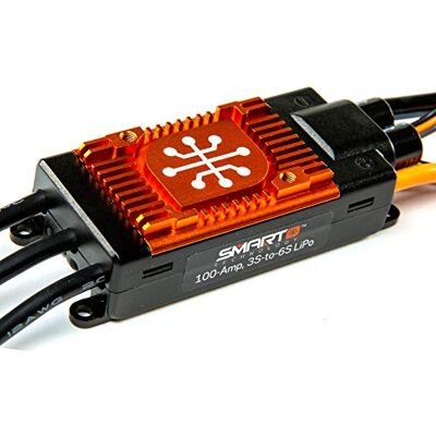 Spektrum Accessori, Multicolore Spektrum Accessori, Multicolore