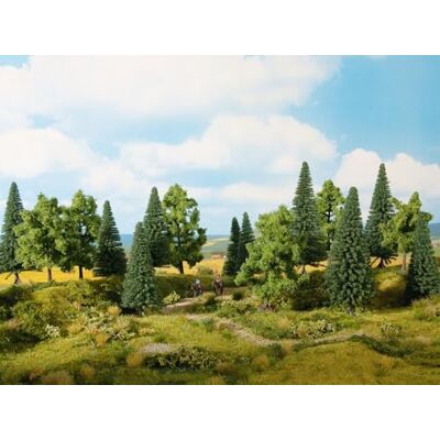 NOCH Foresta mista NOCH Foresta mista
